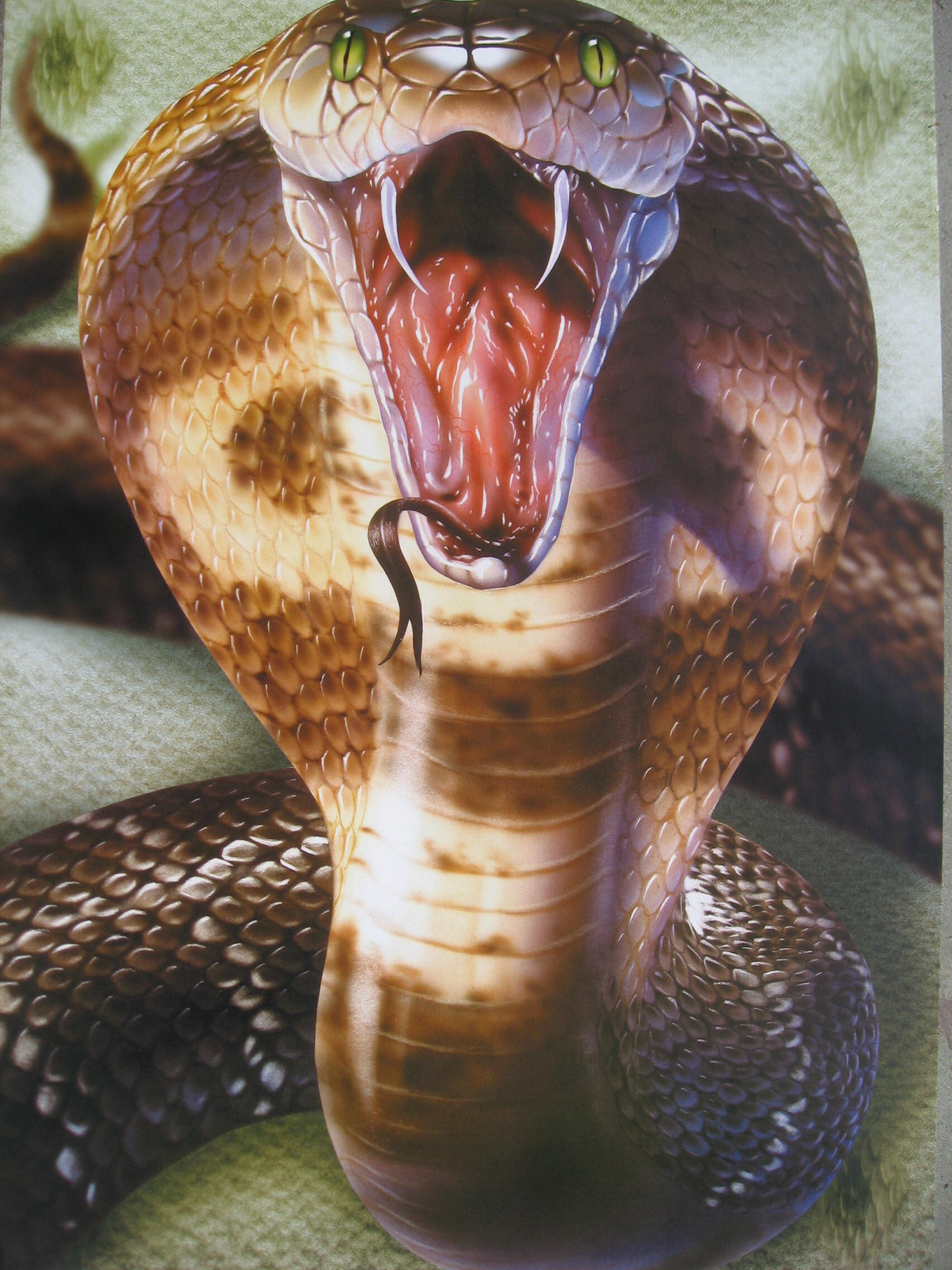 ¿Cobra comisiones la tarjeta Amazon recargable?