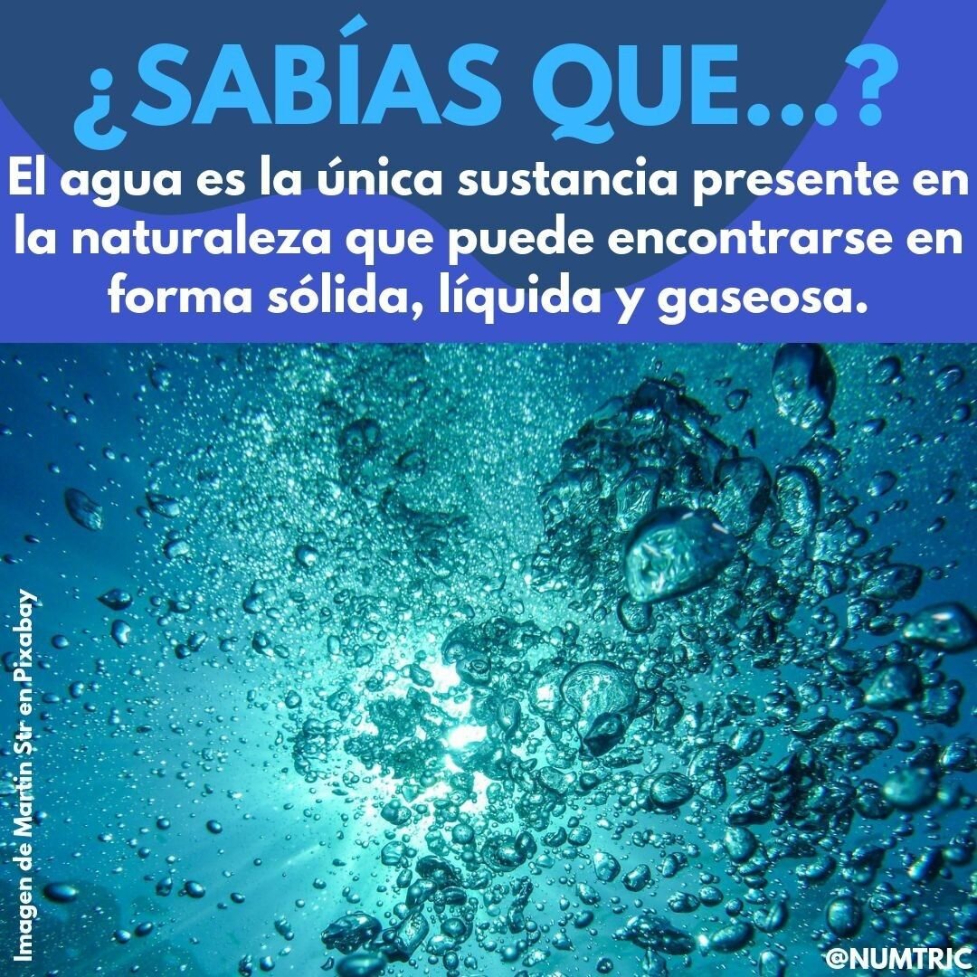 Datos curiosos sobre Nubleer