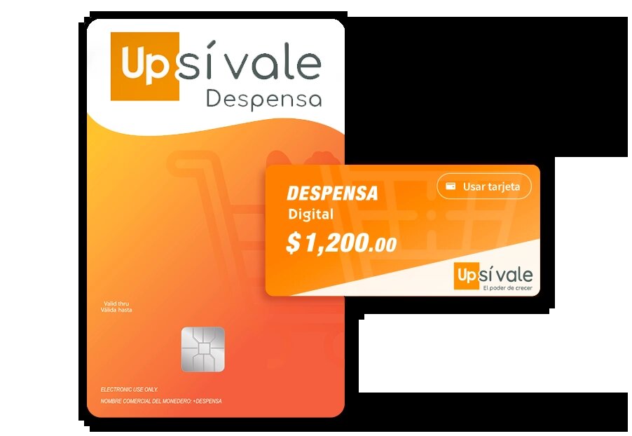 ¿En dónde aceptan los vales de despensa Sí Vale?