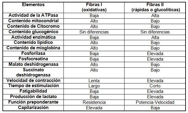 Rendimiento de las Fibras