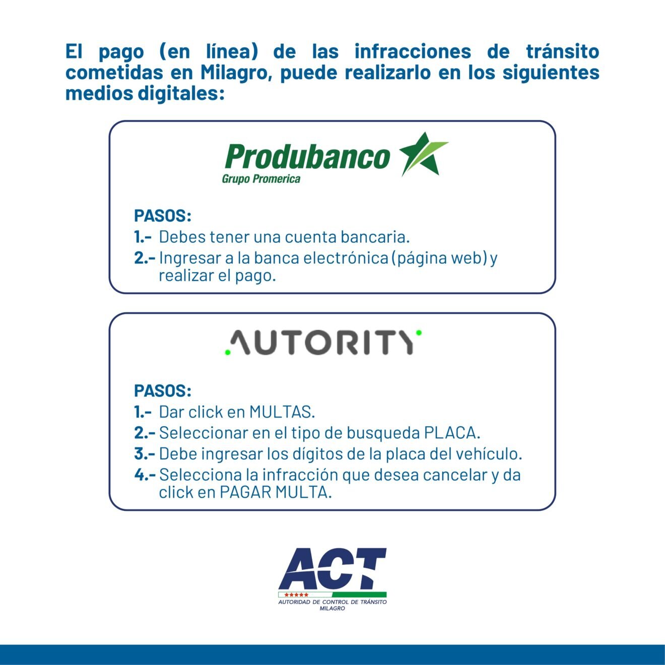 Resumen de los beneficios de usar puntos para el pago de tenencia